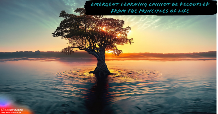 Emergent Learning